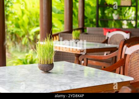 Un'accogliente area da pranzo con tavoli in legno con piani in marmo, adornata con piccole piante in vaso. Il decor include comode sedie in legno e una lussureggiante Foto Stock