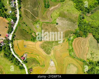 Drone aereo di paesaggio agricolo con terreni agricoli in campagna. Negros, Filippine Foto Stock