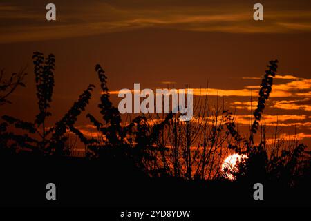 Il cielo con colori brillanti durante il tramonto Foto Stock