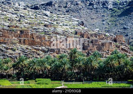 Rovine abbandonate del villaggio di Riwaygh AS-Safil Foto Stock