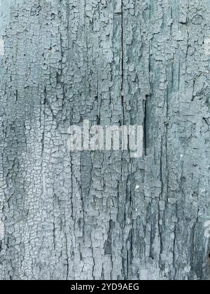 Spaccatura e rimozione della vernice su un pannello di legno. Verticale. Primo piano. Foto Stock