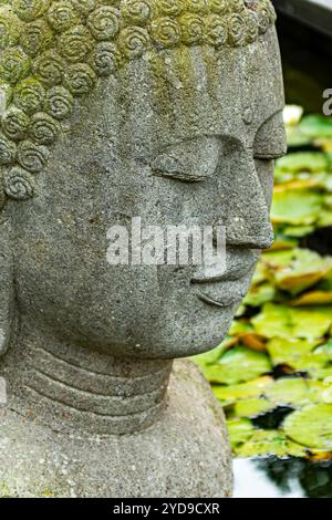 Un primo piano di una statua di buddha Foto Stock