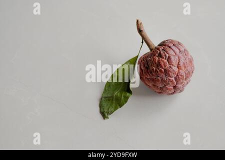 Mela crema pasticcera sul marmo bianco con spazio per le copie. Foto Stock