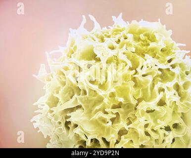 Micrografia elettronica a scansione colorata di un linfocita T noto anche come linfociti T gialli a cellule T 016867 037 Foto Stock