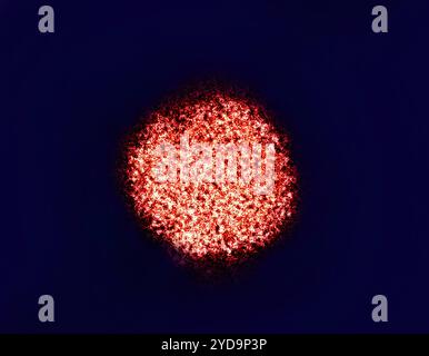 Micrografia elettronica a trasmissione colorata di un virion dell'epatite C. Epatite C 016867 057 Foto Stock