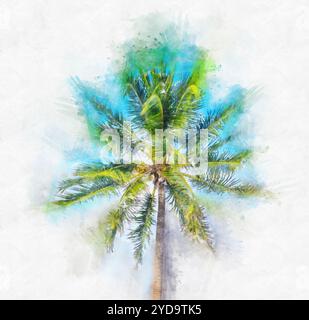 Illustrazione della pittura ad acquerello di Palm Tree su sfondo bianco Foto Stock