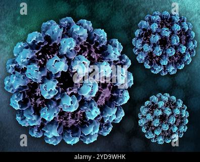 Layout creativo con rendering 3D di particelle simili a virus norovirus VLP, generate dalla microscopia elettronica, e un micrografo elettronico di trasmissione di particelle norovirus sullo sfondo. Norovirus 016867 435 Foto Stock