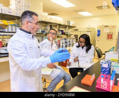 Gli scienziati del Sud Africa imparano gli aspetti chiave del processo di produzione del vaccino mRNA durante una visita di due settimane al VRC, parte di una collaborazione in corso per condividere conoscenze, competenze e dati per accelerare la produzione di vaccini mRNA a livello globale. 2023 : NIAID S VRC, S. Africa S Afrigen Kick Off Vaccine-Sharing Entries Training volto a rendere la tecnologia mRNA disponibile a livello globale. Formazione sulla produzione di vaccini mRNA presso il NIAID Vaccine Research Center 016867 487 Foto Stock