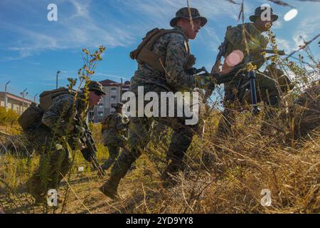 I Marines degli Stati Uniti assegnati alla Charlie Company, Battalion Landing Team 1/5, 15th Marine Expeditionary Unit, provano supporto con operazioni di fuoco durante le armi Foto Stock
