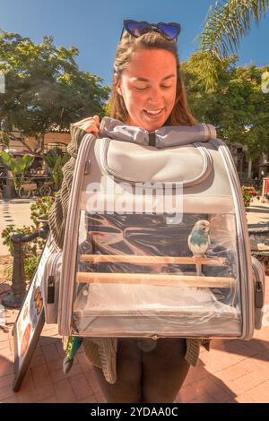 Una donna di trent'anni con il suo parrocchetto in uno zaino mobile che cammina lungo il marciapiede di State Street a Santa Barbara, California. Foto Stock