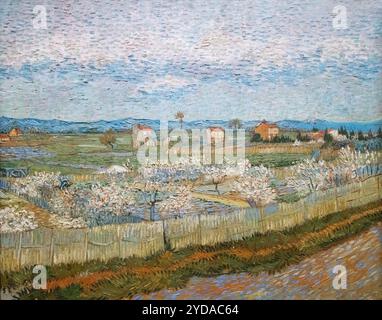 Pittura di Vincent Van Gogh; Peach Trees in Blossom. 1889. Van Gogh Landscape, Arles, Francia. Pittura post impressionista del XIX secolo. Foto Stock