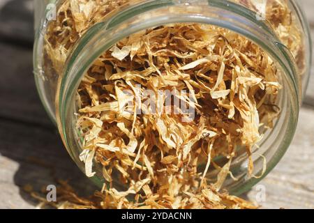 Hypericum perforatum, erba di San Giovanni Foto Stock