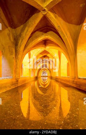 Cisterna sotterranea nel Real Alcazar (Palazzo reale) del X secolo, sito patrimonio dell'umanità dell'UNESCO, Siviglia, Andalusia, Spagna. Foto Stock
