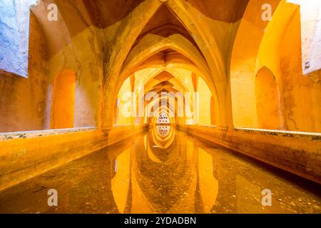 Cisterna sotterranea nel Real Alcazar (Palazzo reale) del X secolo, sito patrimonio dell'umanità dell'UNESCO, Siviglia, Andalusia, Spagna. Foto Stock