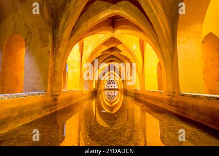 Cisterna sotterranea nel Real Alcazar (Palazzo reale) del X secolo, sito patrimonio dell'umanità dell'UNESCO, Siviglia, Andalusia, Spagna. Foto Stock