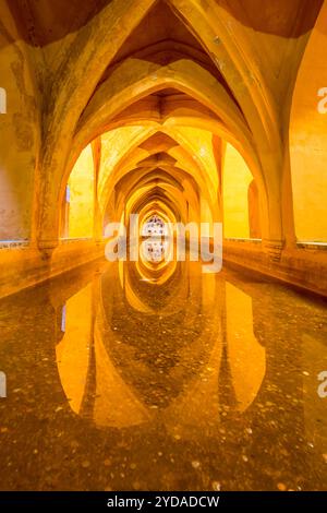 Cisterna sotterranea nel Real Alcazar (Palazzo reale) del X secolo, sito patrimonio dell'umanità dell'UNESCO, Siviglia, Andalusia, Spagna. Foto Stock