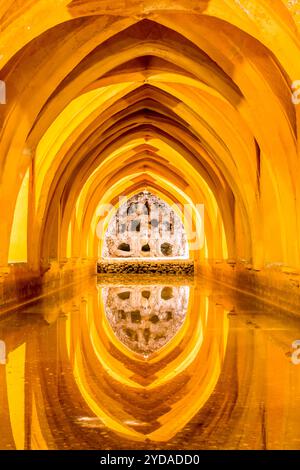 Cisterna sotterranea nel Real Alcazar (Palazzo reale) del X secolo, sito patrimonio dell'umanità dell'UNESCO, Siviglia, Andalusia, Spagna. Foto Stock
