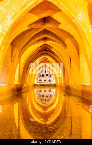 Cisterna sotterranea nel Real Alcazar (Palazzo reale) del X secolo, sito patrimonio dell'umanità dell'UNESCO, Siviglia, Andalusia, Spagna. Foto Stock