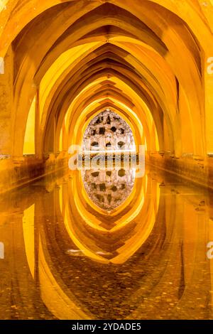 Cisterna sotterranea nel Real Alcazar (Palazzo reale) del X secolo, sito patrimonio dell'umanità dell'UNESCO, Siviglia, Andalusia, Spagna. Foto Stock
