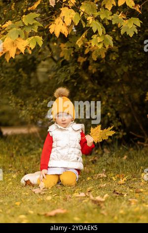 Un bambino allegro si inginocchia in un parco, vestito calorosamente con un maglione rosso e collant gialli, mentre raccoglie foglie autunnali colorate sotto un albero dorato Foto Stock