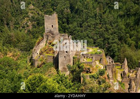 Le rovine del conte Niederburg Manderscheid, Eifel, Renania-Palatinato, Germania, Europa Foto Stock