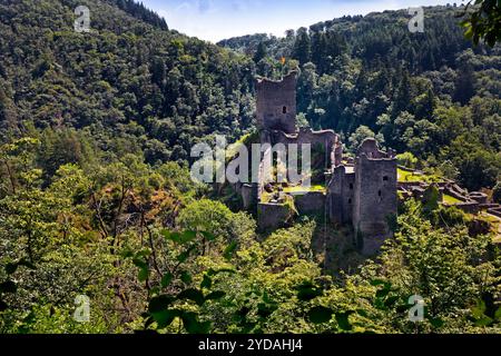 Le rovine del conte Niederburg Manderscheid, Eifel, Renania-Palatinato, Germania, Europa Foto Stock