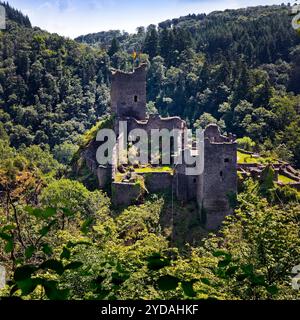 Le rovine del conte Niederburg Manderscheid, Eifel, Renania-Palatinato, Germania, Europa Foto Stock