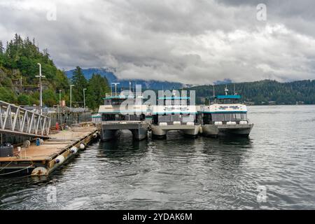 Juneau, Alaska, USA - 22 settembre 2024: Tre barche per tour in catamarano attraccate fianco a fianco ad un molo a Juneau, Alaska. Foto Stock