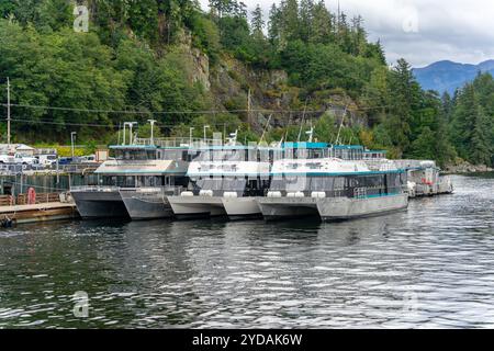 Juneau, Alaska, USA - 22 settembre 2024: Tre barche per tour in catamarano attraccate fianco a fianco ad un molo a Juneau, Alaska. Foto Stock