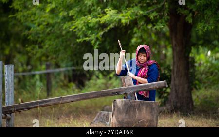 Più del 70% degli agricoltori thailandesi vive in zone rurali. Martellare il riso con un mortaio di legno, Foto Stock