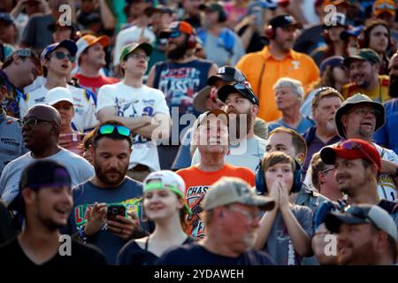 NASCAR Cup Series: Giugno 30 Ally 400 Foto Stock