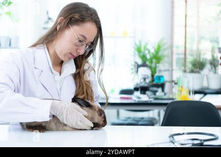 Veterinario che cura conigli malati sta dando ai giovani coniglietti l'attenzione di cui hanno bisogno per stare bene Foto Stock