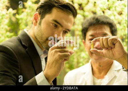 Proprietari di fattorie e scienziati che gestiscono la piantagione di cannabis. Verificare l'integrità dell'olio di cannabis e dei prodotti di cannabis nel CA Foto Stock