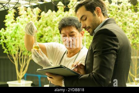 Proprietari di fattorie e scienziati che gestiscono la piantagione di cannabis. Verificare l'integrità dell'olio di cannabis e dei prodotti di cannabis nel CA Foto Stock