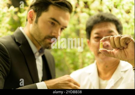 Proprietari di fattorie e scienziati che gestiscono la piantagione di cannabis. Verificare l'integrità dell'olio di cannabis e dei prodotti di cannabis nel CA Foto Stock