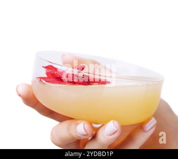 Mano di donna che tiene un cocktail daiquiri con fragole Foto Stock