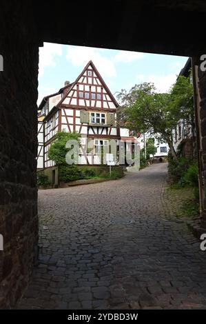 Porta cittadina a Dilsberg Foto Stock