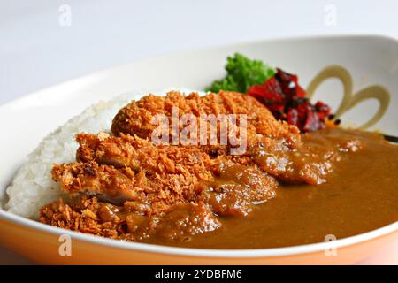Cotoletta di maiale fritta con curry ricoperta su riso giapponese su sfondo bianco Foto Stock