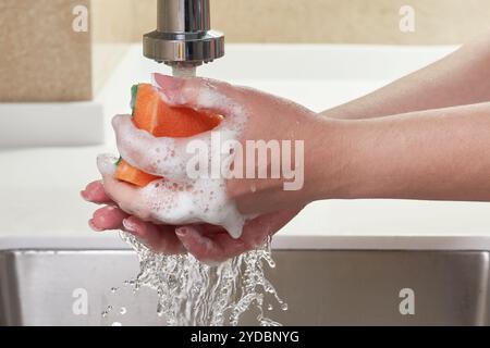 Immagine tagliata di donna che tiene spugna lavaggio con liquido lavastoviglie sopra il lavandino, concetto di pulizia Foto Stock