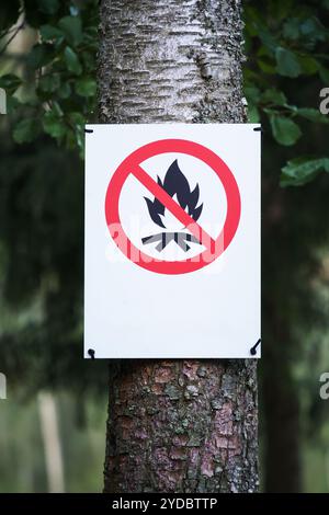 Nessun segno di fuoco aperto su un albero, chiuda Foto Stock