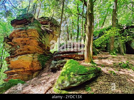 Bizzarri paesaggi rocciosi nel Parco naturale dell'Eifel meridionale, Bollendorf, Eifel, Germania, Europa Foto Stock