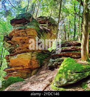 Bizzarri paesaggi rocciosi nel Parco naturale dell'Eifel meridionale, Bollendorf, Eifel, Germania, Europa Foto Stock