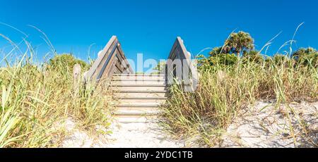 Scale di legno sopra dune di sabbia e erba sulla spiaggia in Florida USA Foto Stock