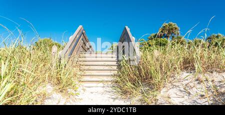 Scale di legno sulla duna di sabbia e di erba in spiaggia in Florida, Stati Uniti d'America Foto Stock