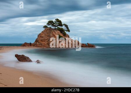 Spiaggia di Cap Roig, Calonge, Girona, Spagna Foto Stock