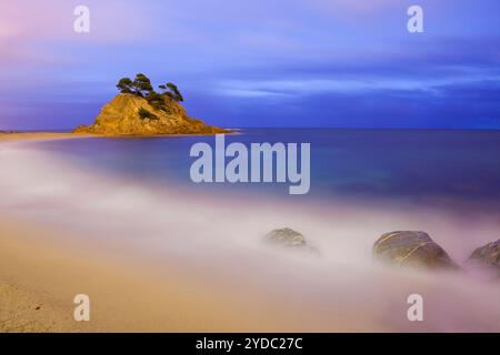 Spiaggia di Cap Roig, Calonge, Girona, Spagna Foto Stock