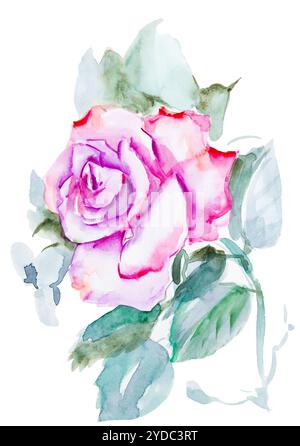 Rosa acquerello dipinto a mano, isolato su bianco Foto Stock
