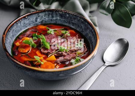 Cucina coreana. Zuppa di kimchi da vicino Foto Stock