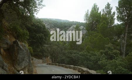 Strada di montagna che si snoda attraverso una fitta pineta e scogliere rocciose in una giornata nuvolosa in un paesaggio sereno. Foto Stock