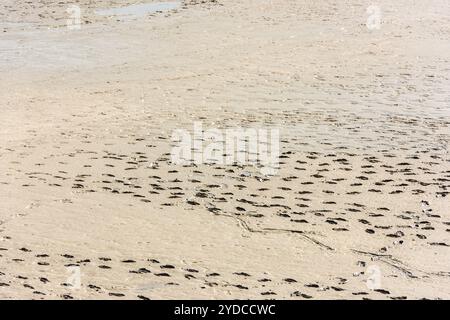 Impronte umane sulla sabbia del fondo marino Foto Stock